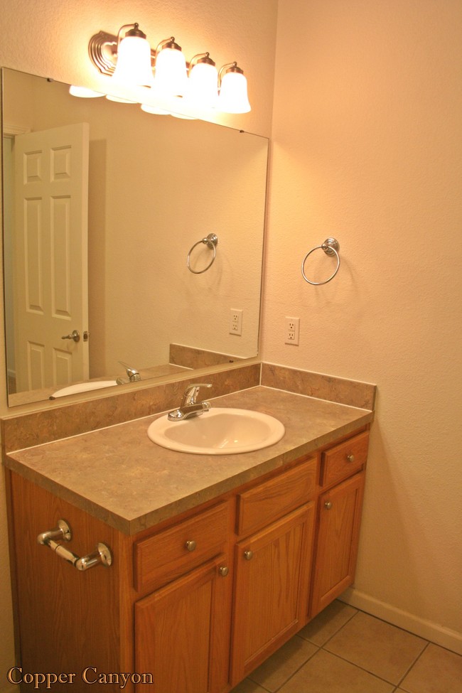 Copper Canyon Bathroom Sink - Ironwood Court and Park West Apartments