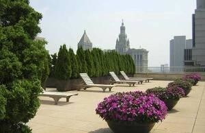 Foto del edificio - 53 Park Pl