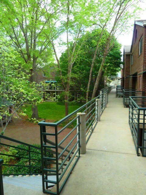 Building Photo - Sleek, Stylish 2br 2ba upper level condo in Chancellor Square, walking distance to Campus, downtown!
