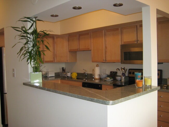 Open Kitchen - 2230 George C Marshall Dr Apartment