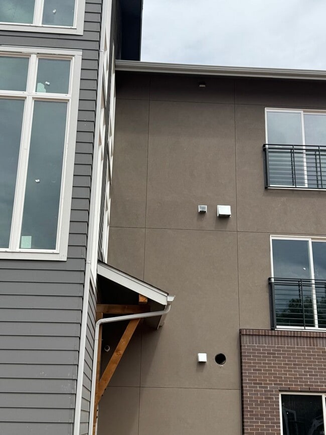 Building Photo - Beautiful, Brand New Studio Near CSU!
