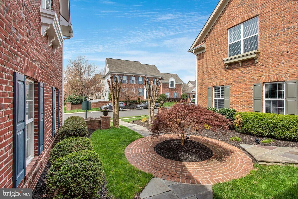 Foto principal - 18488 Lanier Island Square