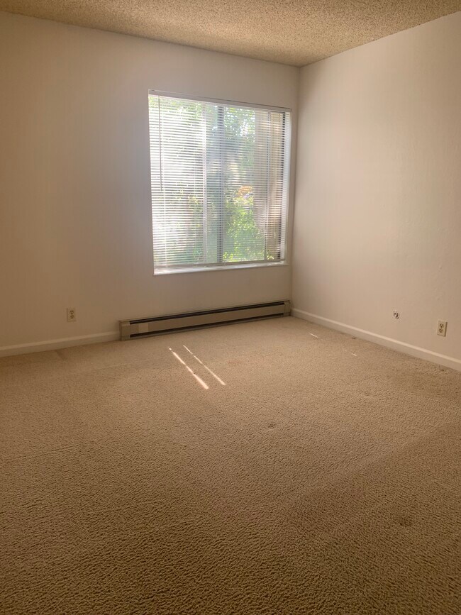 Master Bedroom - 505 Cypress Point Dr