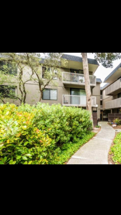 San Bruno Condos For Rent