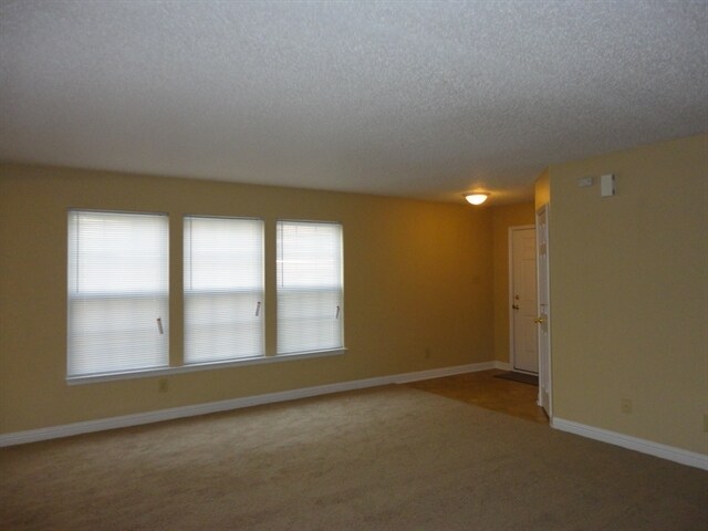 Foto del edificio - 8841 Youngs Creek Lane