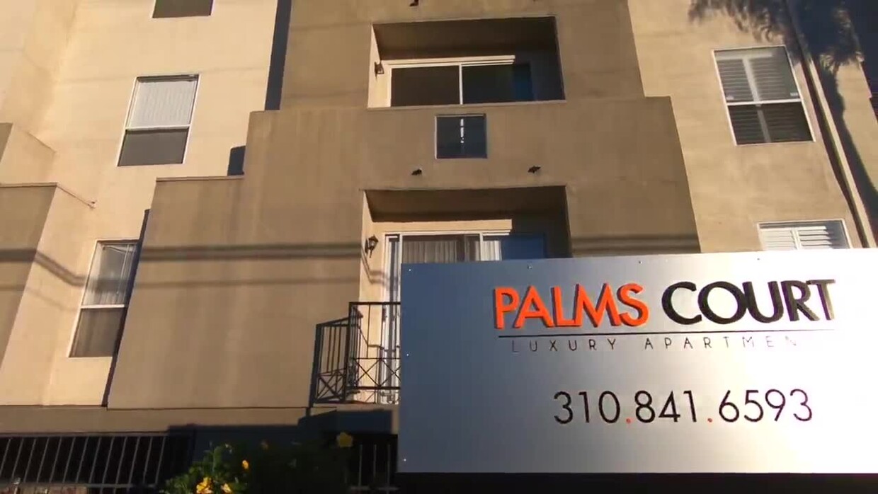 Palms Court photo'