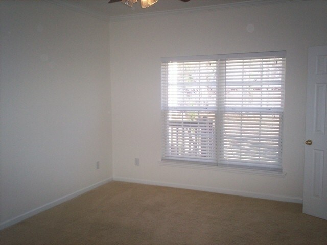 Building Photo - 2719 Maplewood Ave