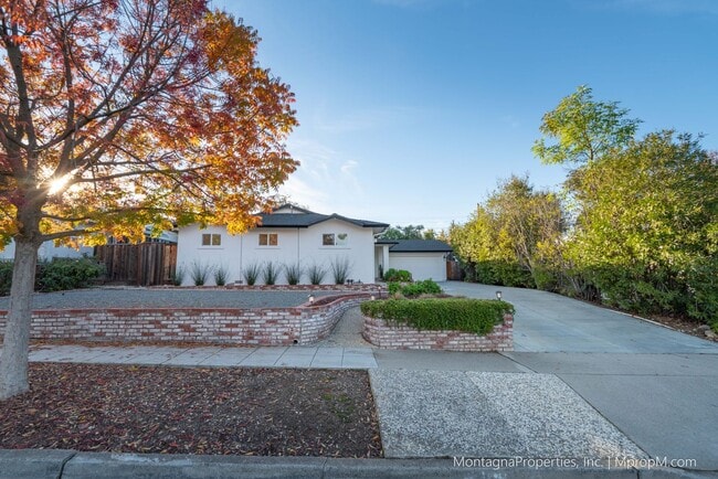 Building Photo - Los Gatos Single Story House on LARGE Lot updated in 2024!