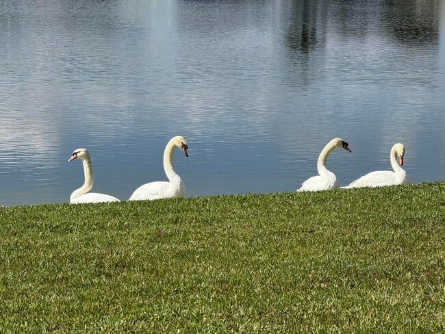 Building Photo - 8913 SW Chevy Cir