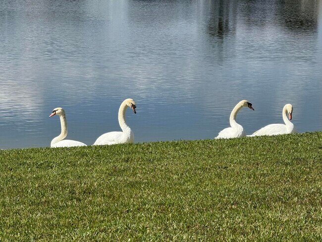 Foto del edificio - 8913 SW Chevy Cir