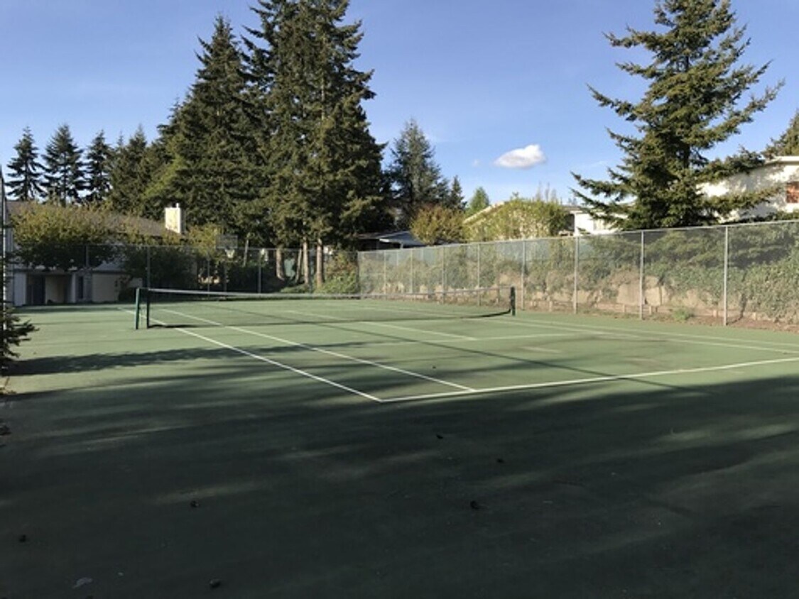 Primary Photo - Great 1br 1bath Condo w/Tennis court/swimm...