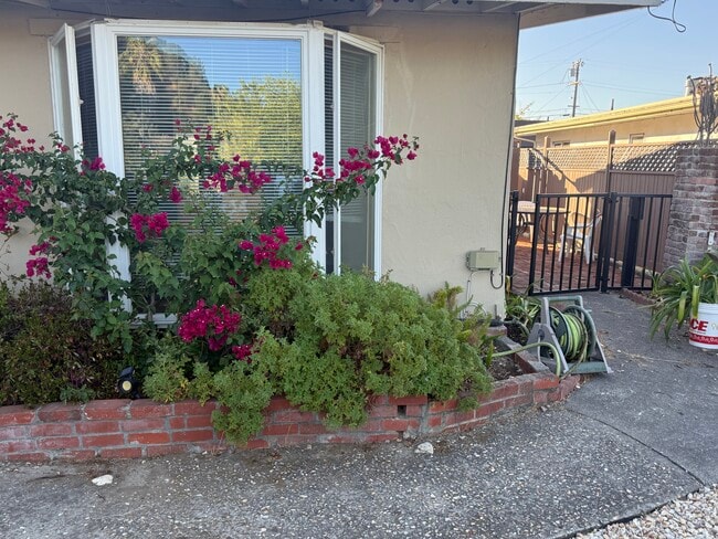 Building Photo - 605 Rosal Way