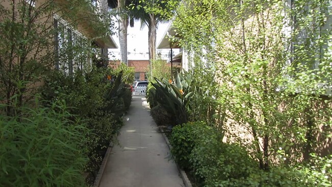 Walkway - 2226 S Carmelina Ave