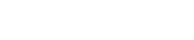 The Excelsior Group