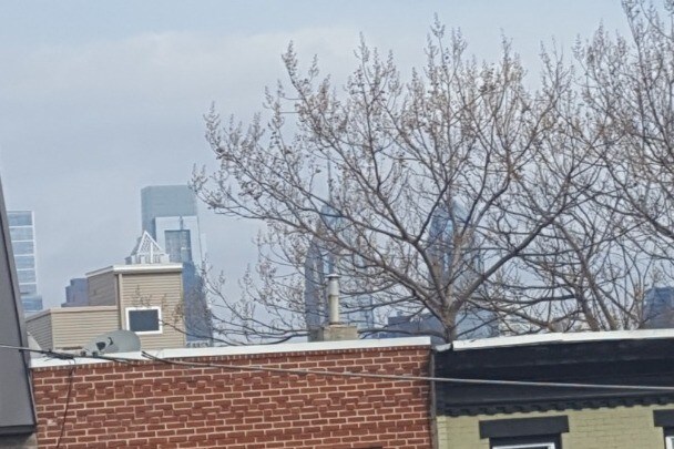 Foto principal - 2225 Dickinson St