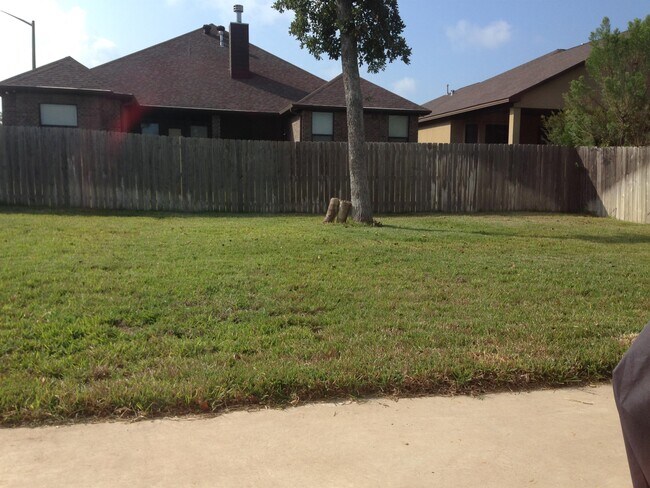 Foto del edificio - 4248 Rocky Rhodes Dr