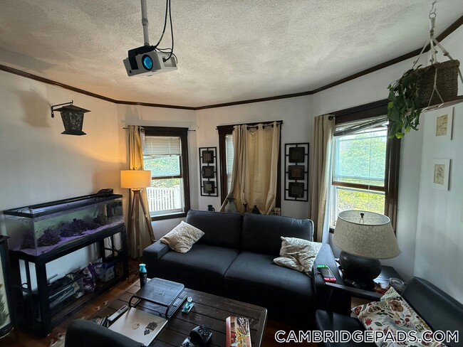 Foto del edificio - 9 Roberts Rd