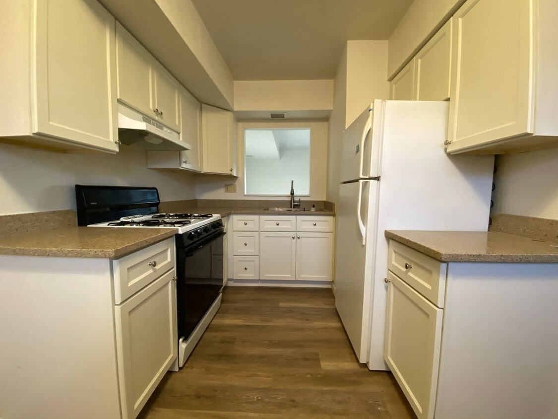 Primary Photo - Bright & Spacious Two Bedroom in Zelienopl...