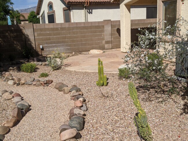 Patio trasero - 2371 E Stone Stable Dr