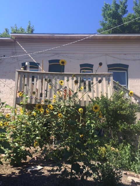 Primary Photo - 610 E 7th Ave