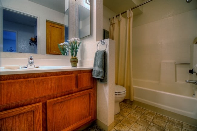 1 Bed 1 Bath Bathroom - Mountain View Villa Apartments