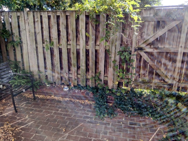 Building Photo - 617 N Henry St