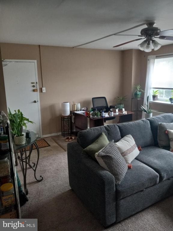 10400 46th Ave Unit 201, Beltsville, MD 20705 Room for Rent in Beltsville, MD
