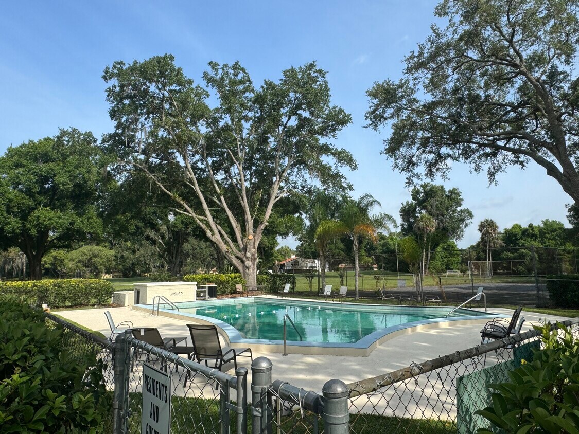 Pool - 412 Howard Ave