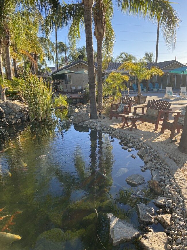 One of three ponds with Kio fish - 1305 E San Bernardino Ave