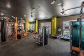 This single-floor fitness center is thoughtfully designed to accommodate a wide range of workout styles and training goals. The space is divided into distinct functional zones, each outfitted with professional-grade equipment. The main gym floor features a comprehensive free weights area, complete with a full dumbbell rack, adjustable benches, and an orange-framed power rack system stocked with barbells, weight plates, and medicine balls. Selectorized strength machines, including leg extension and cable units, are positioned throughout for targeted muscle training. A dedicated cardio section lines the perimeter, housing treadmills, elliptical trainers, and upright bikes, all oriented toward natural light streaming through horizontal-slatted windows. A separate enclosed cycling studio, accessible through glass-paneled doors, contains red stationary spin bikes and offers an intimate group fitness environment. The interior design features a bold palette of dark charcoal and black ceilings contrasted by yellow-green accent walls, creating a dynamic and motivating atmosphere. Industrial-style ceiling fans, recessed lighting, and wall-mounted televisions complete the space. Durable carpet flooring spans the entire area, and floor-to-ceiling mirrors in the free weights section enhance the sense of openness.