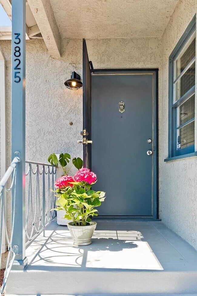 Foto del edificio - 3823 Moore St