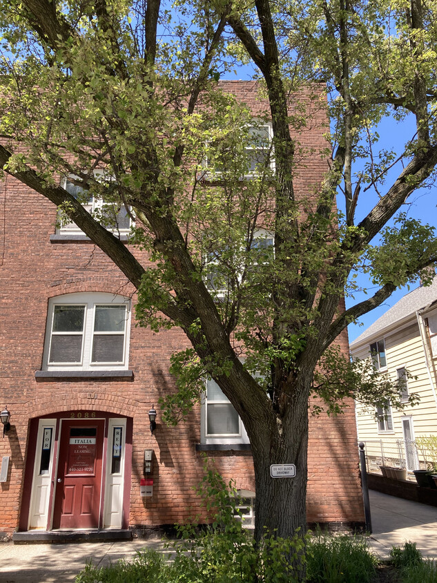 Primary Photo - 2086 Fairview Ave