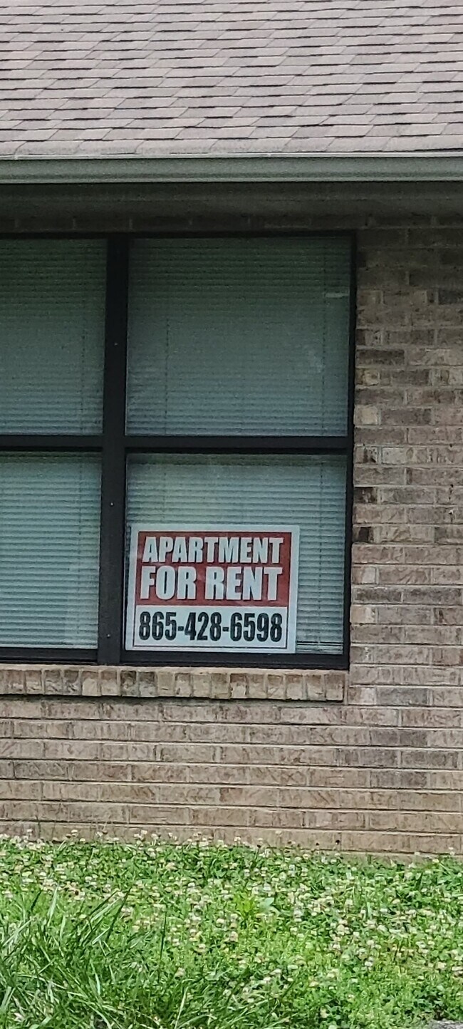 Foto del edificio - 929 Beverly Hills Dr