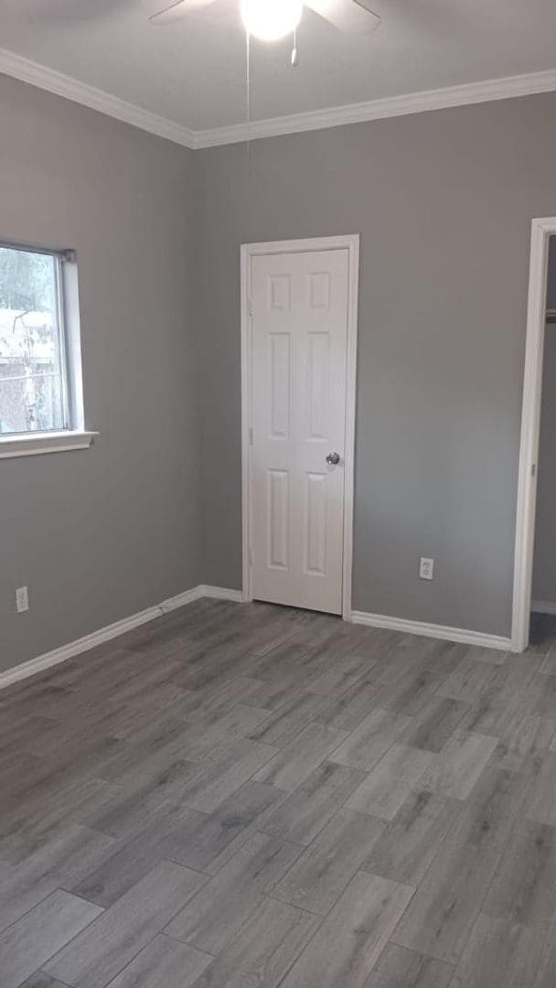 Building Photo - Completely Renovated House with a Forest as a backyard!!