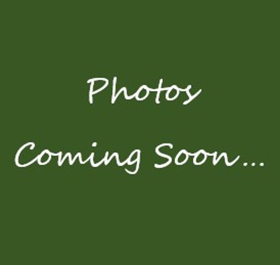 Foto principal - Spacious & Sunny Home in Quiet Hurricane N...