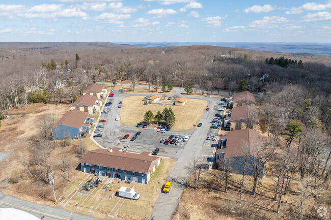 Aerial Photo - Snowshoe Condominium