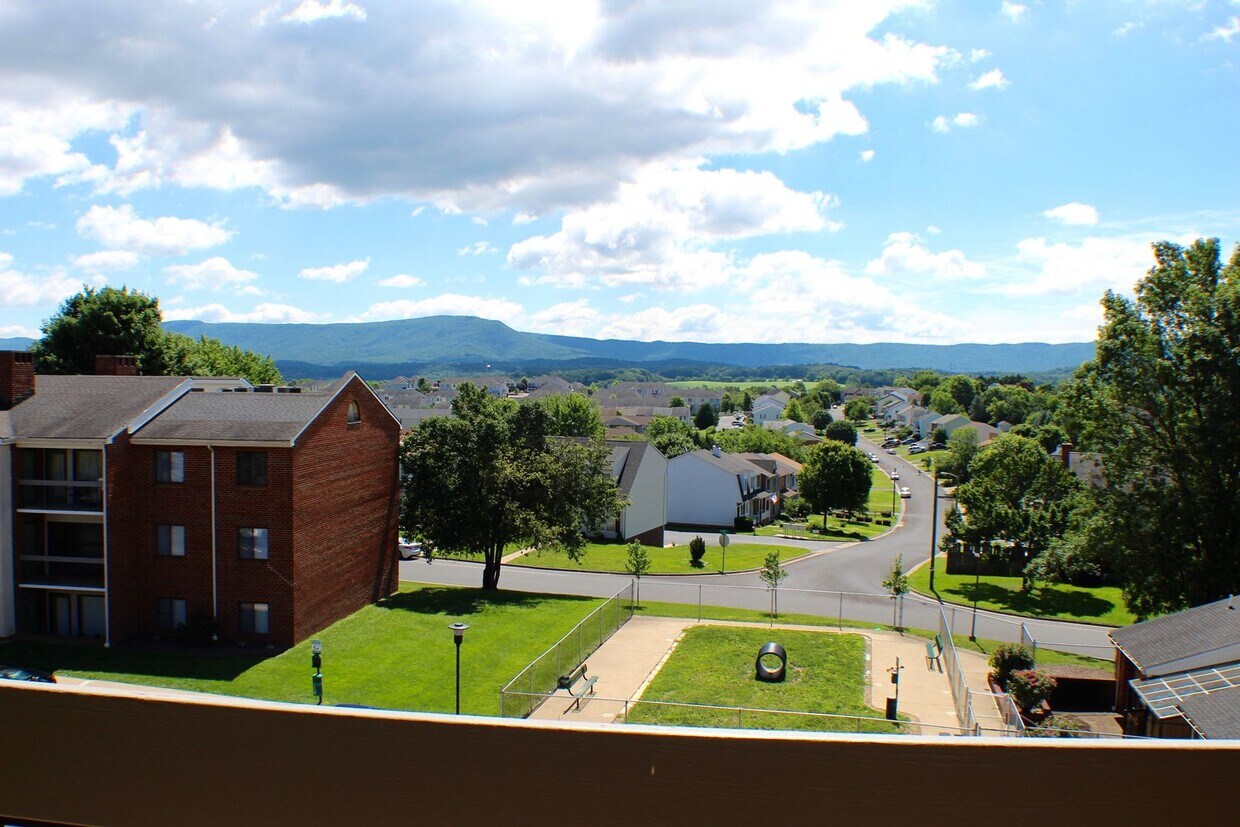 Building Photo - 1018 Blue Ridge Dr