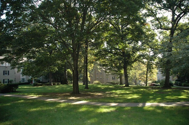 Building area - 704 S Arlington Mill Dr