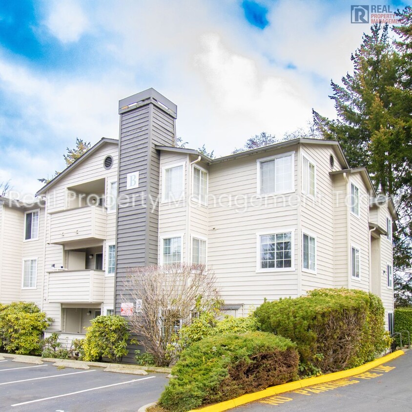 Primary Photo - Cozy 3 Bedroom Apartment In Burien!