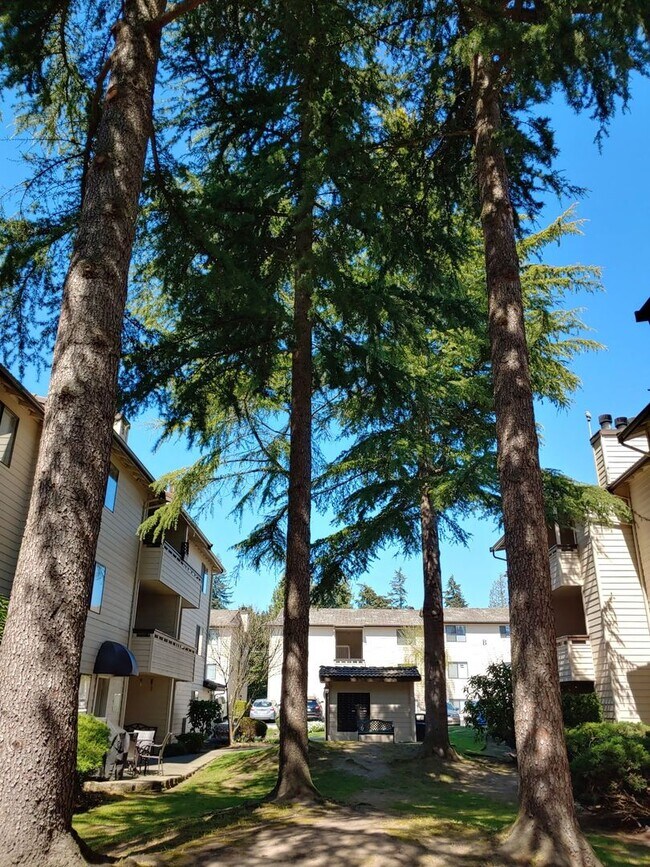 Foto del interior - Jackson Greens