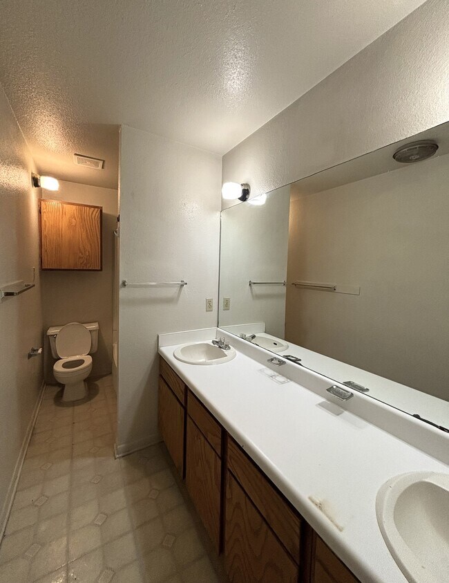 Foto del edificio - 305 Northern Dove Ln