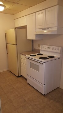 Building Photo - Birchwoood in Galesburg