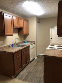 Updated kitchen - Countryside Apartments