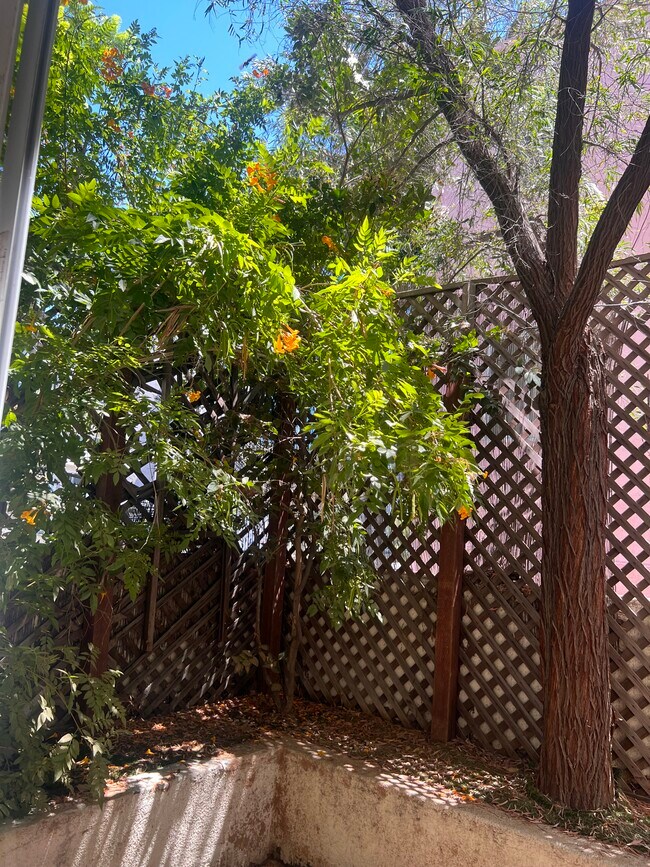 Foto del edificio - 4959 Laurel Canyon Blvd