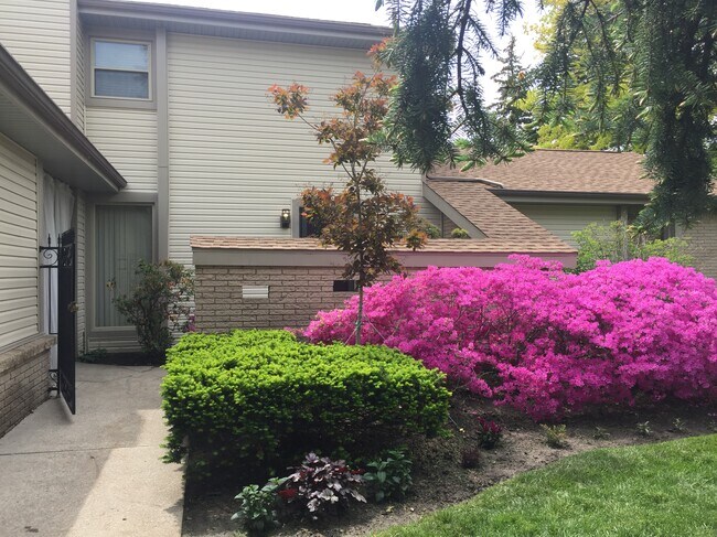 Foto del edificio - 5872 Ryewyck Dr