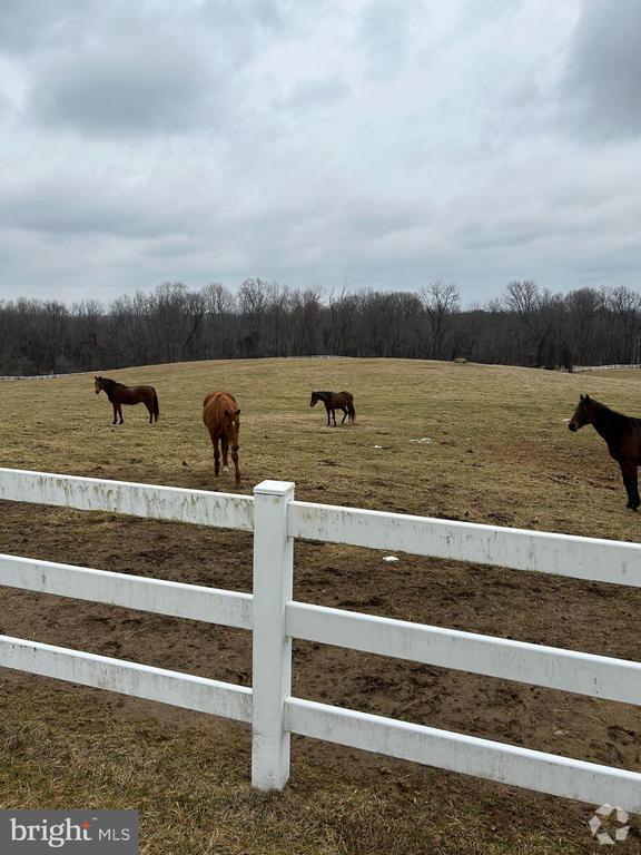 Basement Apartments For Rent in Marriottsville MD 4 Rentals