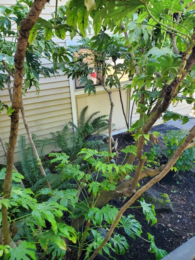 Foto del edificio - 15739 SE 175th Pl