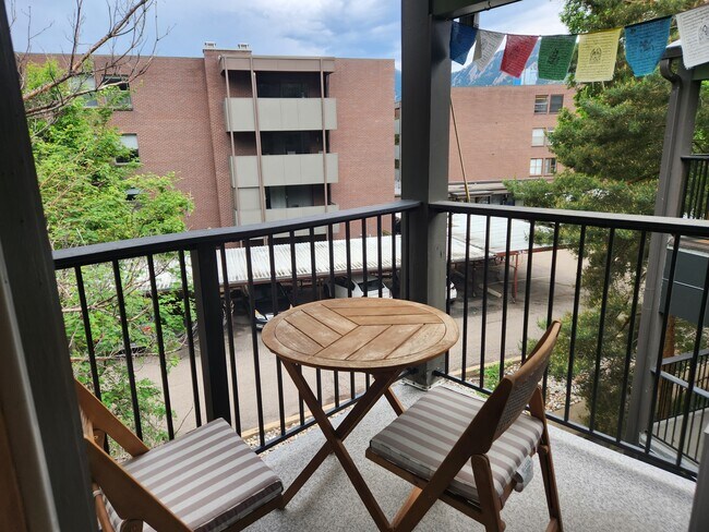 Vistas a la montaña desde la terraza y las ventanas. - 1830 22nd St