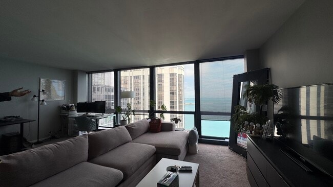 Building Photo - 900 N Lake Shore Dr