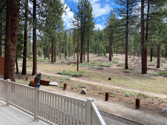 Building Photo - Large newly renovated home backs to the fo...